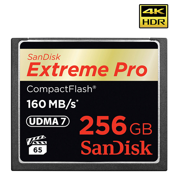 Carte mémoire compact flash - SANDISK  256 GB - CF EXTREME PRO - 2 p